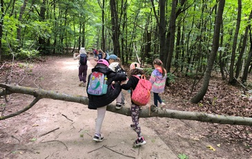 caa0fa79-00b3-4046-a688-c22d0e241ce9